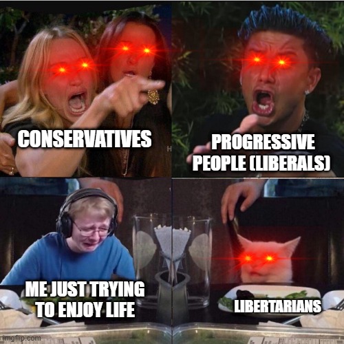 Calm down all of y'all. Jeez.... | PROGRESSIVE PEOPLE (LIBERALS); CONSERVATIVES; ME JUST TRYING TO ENJOY LIFE; LIBERTARIANS | image tagged in table cat | made w/ Imgflip meme maker
