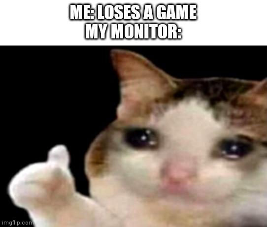Sad cat thumbs up | ME: LOSES A GAME
MY MONITOR: | image tagged in sad cat thumbs up | made w/ Imgflip meme maker