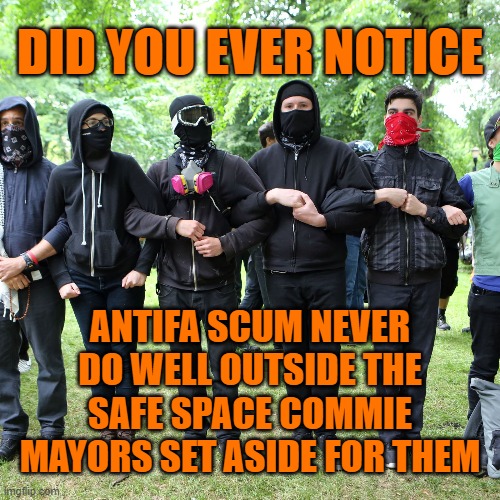 In the real world, these scum are "non-competitive". | DID YOU EVER NOTICE; ANTIFA SCUM NEVER DO WELL OUTSIDE THE SAFE SPACE COMMIE MAYORS SET ASIDE FOR THEM | image tagged in antifa | made w/ Imgflip meme maker