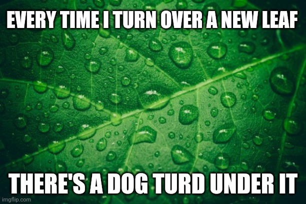 Dog Turd | EVERY TIME I TURN OVER A NEW LEAF; THERE'S A DOG TURD UNDER IT | image tagged in funny memes | made w/ Imgflip meme maker