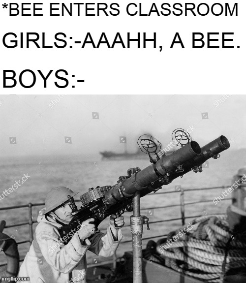 *BEE ENTERS CLASSROOM; GIRLS:-AAAHH, A BEE. BOYS:- | image tagged in girls vs boys | made w/ Imgflip meme maker