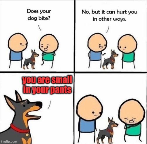 does your dog bite | you are small in your pants | image tagged in does your dog bite | made w/ Imgflip meme maker