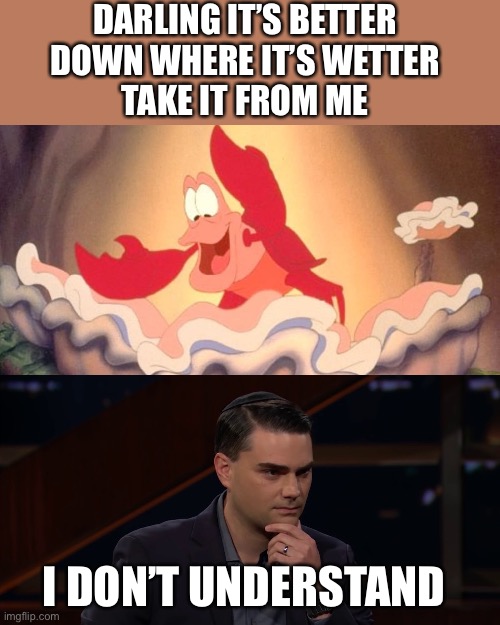 DARLING IT’S BETTER 
DOWN WHERE IT’S WETTER 
TAKE IT FROM ME; I DON’T UNDERSTAND | image tagged in ben shapiro | made w/ Imgflip meme maker