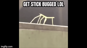 haha get stick bugged - Imgflip