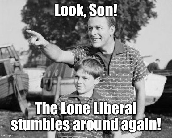 Look Son Meme | Look, Son! The Lone Liberal stumbles around again! | image tagged in memes,look son | made w/ Imgflip meme maker