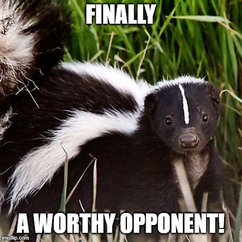skunk | FINALLY A WORTHY OPPONENT! | image tagged in skunk | made w/ Imgflip meme maker