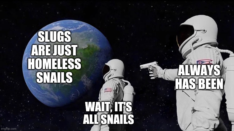 Always Has Been Meme | WAIT, IT'S ALL SNAILS ALWAYS HAS BEEN SLUGS ARE JUST HOMELESS SNAILS | image tagged in always has been | made w/ Imgflip meme maker
