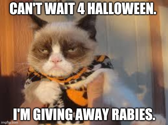 Grumpy Cat Halloween Meme | CAN'T WAIT 4 HALLOWEEN. I'M GIVING AWAY RABIES. | image tagged in memes,grumpy cat halloween,grumpy cat | made w/ Imgflip meme maker