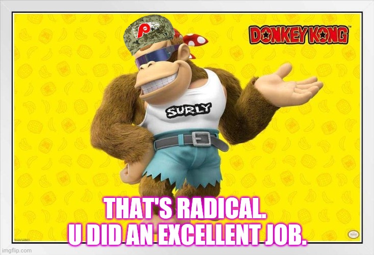 THAT'S RADICAL.  U DID AN EXCELLENT JOB. | made w/ Imgflip meme maker