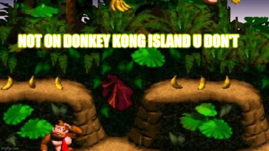 NOT ON DONKEY KONG ISLAND U DON'T | made w/ Imgflip meme maker