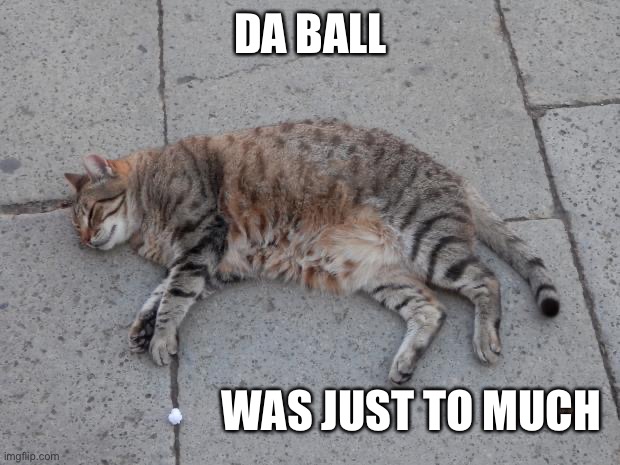 Dead cats can do anything | DA BALL; WAS JUST TO MUCH | image tagged in dead cats can do anything | made w/ Imgflip meme maker