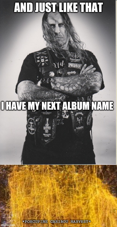 AND JUST LIKE THAT I HAVE MY NEXT ALBUM NAME *PORCUPINE CARIBOU HARVEST* | image tagged in death metal dave,death metal logo | made w/ Imgflip meme maker