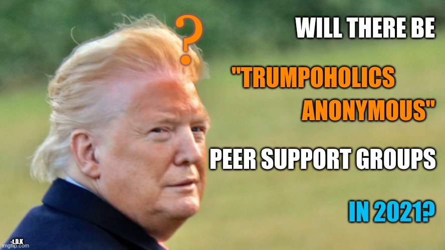 A question. | ? WILL THERE BE; "TRUMPOHOLICS; ANONYMOUS"; PEER SUPPORT GROUPS; IN 2021? -t.D.K | image tagged in meme,nevertrump,bad hair day,orange trump,maga | made w/ Imgflip meme maker