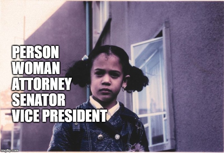 saw this on the twitters. too good to not share | PERSON
WOMAN
ATTORNEY
SENATOR
VICE PRESIDENT | made w/ Imgflip meme maker