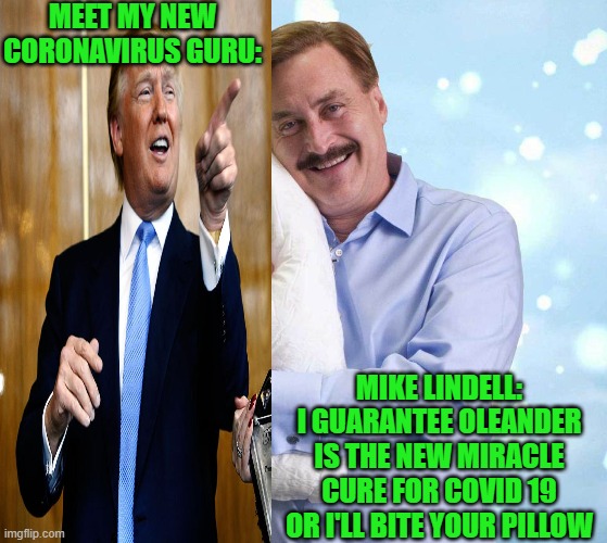 Pillow Talk: Take Oleander For Covid 19 & Get The Best Sleep Of Your Life.. | MEET MY NEW CORONAVIRUS GURU:; MIKE LINDELL: I GUARANTEE OLEANDER IS THE NEW MIRACLE CURE FOR COVID 19 OR I'LL BITE YOUR PILLOW | image tagged in my pillow guy,donald trump,oleander | made w/ Imgflip meme maker