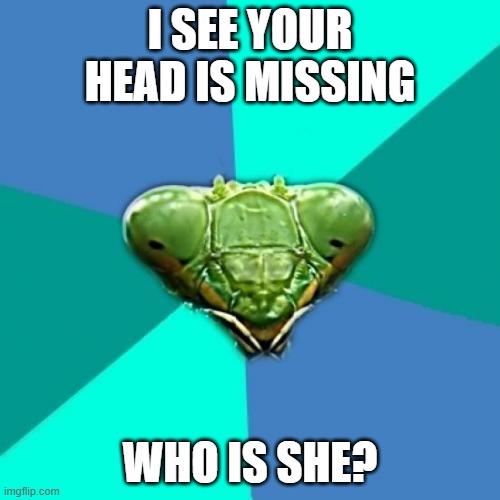 It's all about you isn't it? | I SEE YOUR HEAD IS MISSING; WHO IS SHE? | image tagged in memes,crazy girlfriend praying mantis,jealous,headless | made w/ Imgflip meme maker