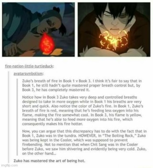 He has mastered the art of being hot | image tagged in avatar the last airbender,zuko | made w/ Imgflip meme maker