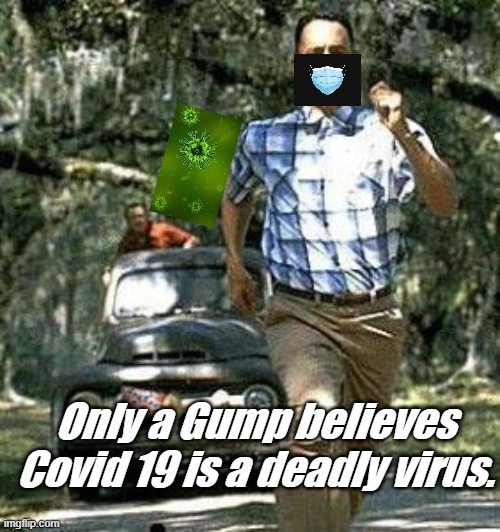 scared gump | Only a Gump believes Covid 19 is a deadly virus. | image tagged in covid19 | made w/ Imgflip meme maker