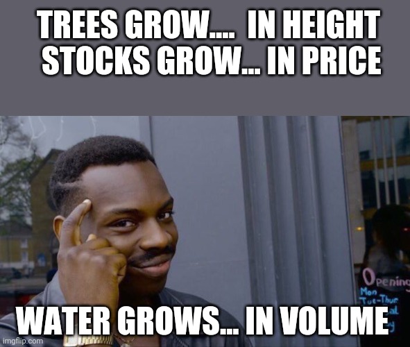 Roll Safe Think About It Meme | TREES GROW....  IN HEIGHT
 STOCKS GROW... IN PRICE WATER GROWS... IN VOLUME | image tagged in memes,roll safe think about it | made w/ Imgflip meme maker