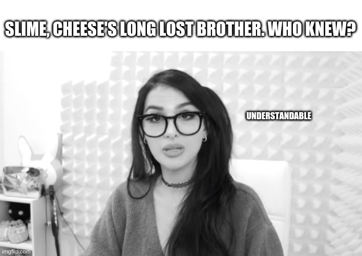 SLIME, CHEESE'S LONG LOST BROTHER. WHO KNEW? UNDERSTANDABLE | made w/ Imgflip meme maker