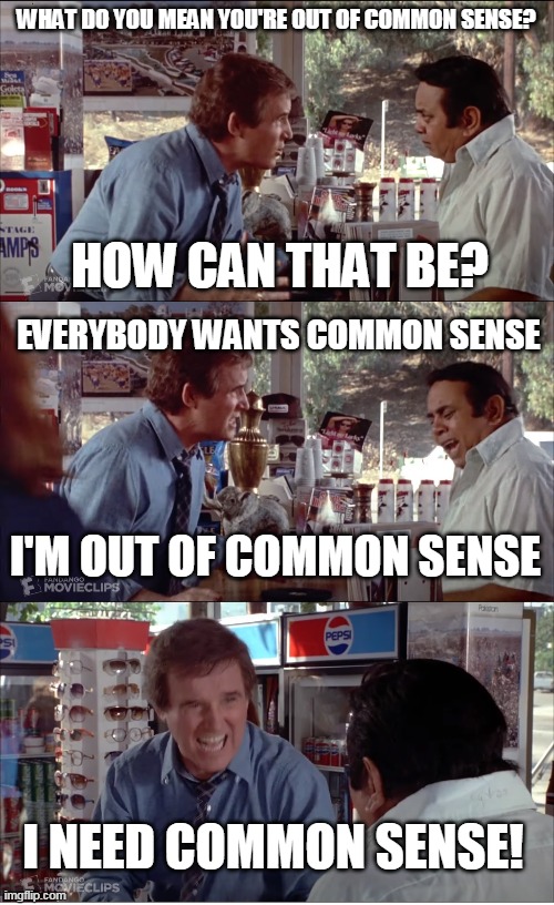 I NEED COMMON SENSE! | WHAT DO YOU MEAN YOU'RE OUT OF COMMON SENSE? HOW CAN THAT BE? EVERYBODY WANTS COMMON SENSE; I'M OUT OF COMMON SENSE; I NEED COMMON SENSE! | image tagged in i need chocolate,memes,clifford,charles grodin,store clerk | made w/ Imgflip meme maker