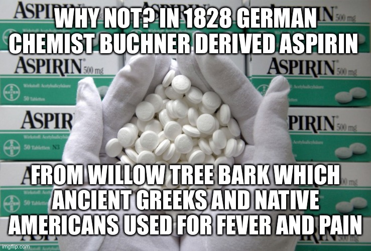 Aspirin | WHY NOT? IN 1828 GERMAN CHEMIST BUCHNER DERIVED ASPIRIN FROM WILLOW TREE BARK WHICH ANCIENT GREEKS AND NATIVE AMERICANS USED FOR FEVER AND P | image tagged in aspirin | made w/ Imgflip meme maker