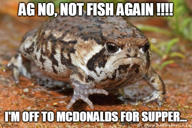 real hungry | AG NO, NOT FISH AGAIN !!!! I'M OFF TO MCDONALDS FOR SUPPER... | image tagged in memes,grumpy toad | made w/ Imgflip meme maker