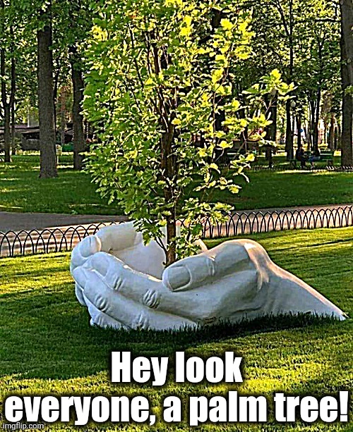 Get it? | Hey look everyone, a palm tree! | image tagged in lol | made w/ Imgflip meme maker