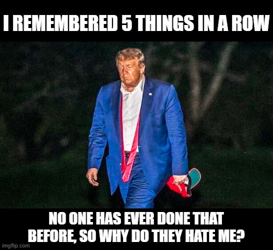 If he wasn't so deserving of scorn, I would call him pathetic, but that would be too kind. | I REMEMBERED 5 THINGS IN A ROW; NO ONE HAS EVER DONE THAT BEFORE, SO WHY DO THEY HATE ME? | image tagged in memes,politics,maga,donald trump is an idiot,impeach trump,america | made w/ Imgflip meme maker