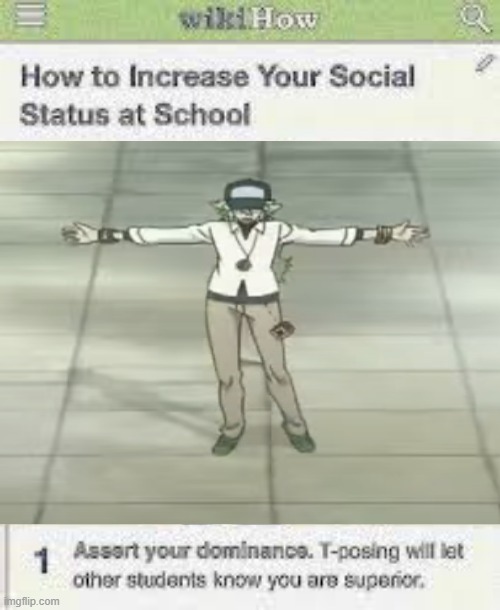 N does a T-pose | image tagged in pokemon,memes,funny,how to increase your social status at school,t-pose | made w/ Imgflip meme maker