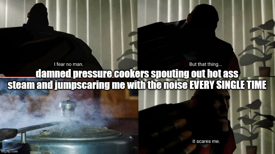 For my fellow pressure cooker users | damned pressure cookers spouting out hot ass steam and jumpscaring me with the noise EVERY SINGLE TIME | image tagged in i fear no man | made w/ Imgflip meme maker