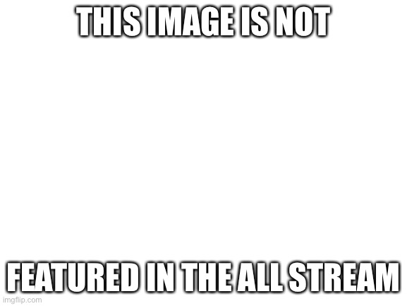 Blank White Template | THIS IMAGE IS NOT; FEATURED IN THE ALL STREAM | image tagged in blank white template | made w/ Imgflip meme maker