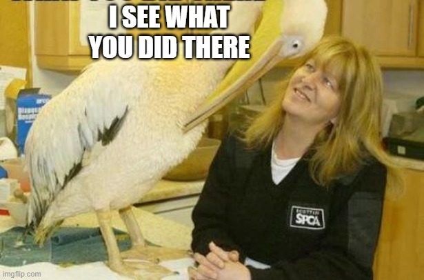 I see what you did there Pelican | I SEE WHAT YOU DID THERE | image tagged in i see what you did there pelican | made w/ Imgflip meme maker