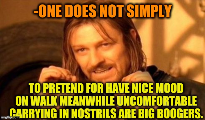 -Just let them fly from palm. | -ONE DOES NOT SIMPLY; TO PRETEND FOR HAVE NICE MOOD ON WALK MEANWHILE UNCOMFORTABLE CARRYING IN NOSTRILS ARE BIG BOOGERS. | image tagged in one does not simply,nose,remove,boogers,current mood,nice guy | made w/ Imgflip meme maker