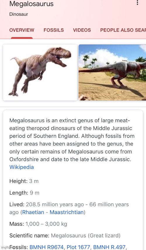 This is the first “Megalo” thats exist even before Toby Fox born. But poorly, its already extinct | image tagged in memes,funny,sans,undertale,dinosaurs,facts | made w/ Imgflip meme maker