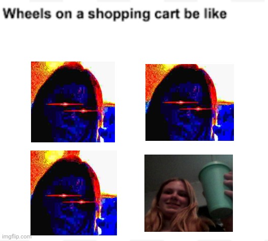 Wheels on a shopping cart | image tagged in wheels on a shopping cart | made w/ Imgflip meme maker