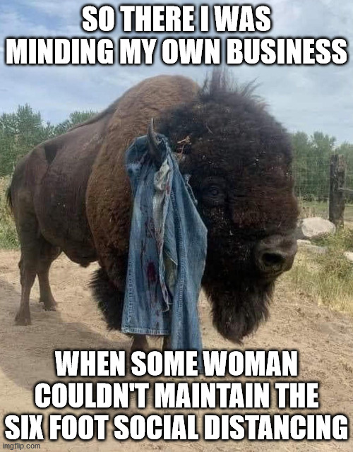 Yellowstone Bison | SO THERE I WAS MINDING MY OWN BUSINESS; WHEN SOME WOMAN COULDN'T MAINTAIN THE SIX FOOT SOCIAL DISTANCING | image tagged in memes,bison,omg karen,social distancing,one does not simply,so there i was | made w/ Imgflip meme maker
