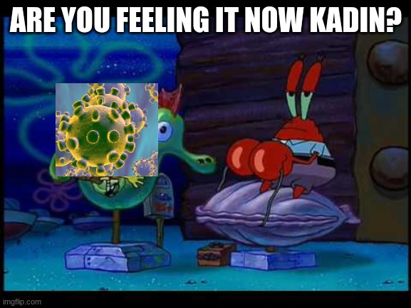 Me and quarintine | ARE YOU FEELING IT NOW KADIN? | image tagged in are you feeling it now mr krabs | made w/ Imgflip meme maker