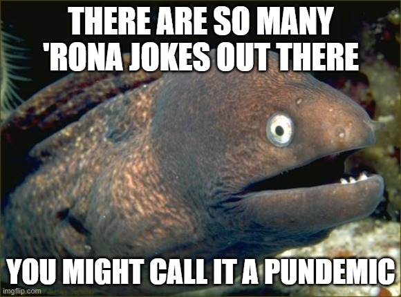 Bad Joke Eel Meme | THERE ARE SO MANY 'RONA JOKES OUT THERE; YOU MIGHT CALL IT A PUNDEMIC | image tagged in memes,bad joke eel | made w/ Imgflip meme maker