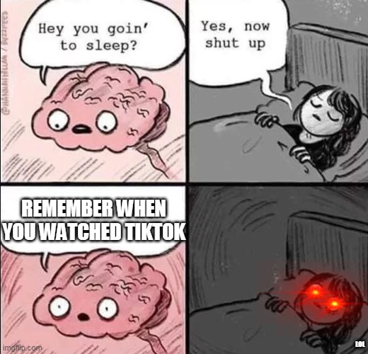 holy crap | REMEMBER WHEN YOU WATCHED TIKTOK; LOL | image tagged in waking up brain | made w/ Imgflip meme maker