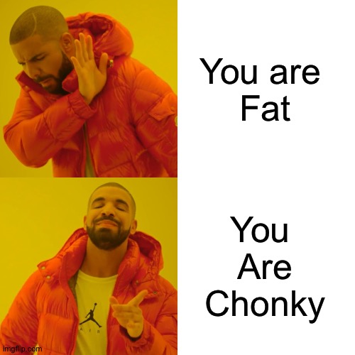 Drake Hotline Bling | You are 
Fat; You 
Are
Chonky | image tagged in memes,drake hotline bling | made w/ Imgflip meme maker