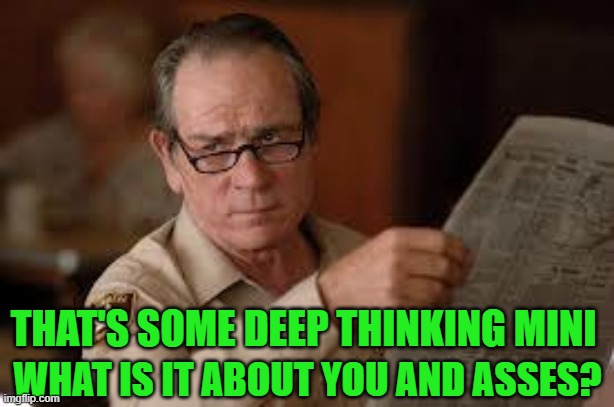 no country for old men tommy lee jones | THAT'S SOME DEEP THINKING MINI WHAT IS IT ABOUT YOU AND ASSES? | image tagged in no country for old men tommy lee jones | made w/ Imgflip meme maker