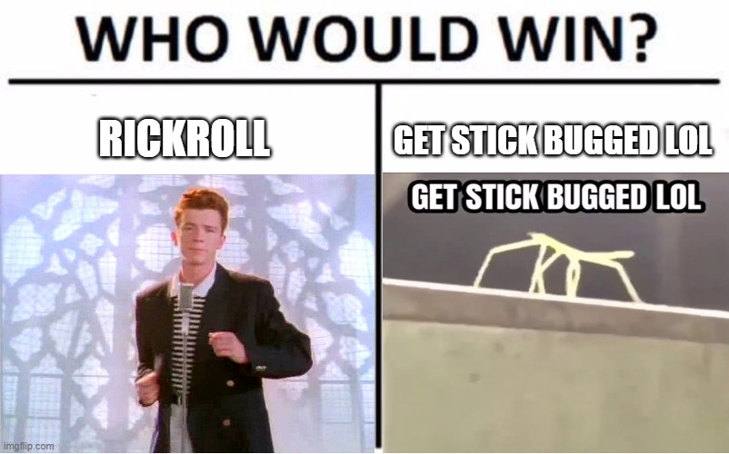 RICKROLL; GET STICK BUGGED LOL | image tagged in who would win,rickroll,get stick bugged lol | made w/ Imgflip meme maker
