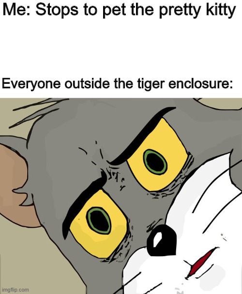 Unsettled Tom Meme | Me: Stops to pet the pretty kitty; Everyone outside the tiger enclosure: | image tagged in memes,unsettled tom | made w/ Imgflip meme maker