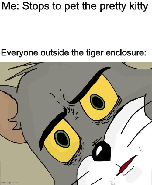 Unsettled Tom | Me: Stops to pet the pretty kitty; Everyone outside the tiger enclosure: | image tagged in memes,unsettled tom | made w/ Imgflip meme maker