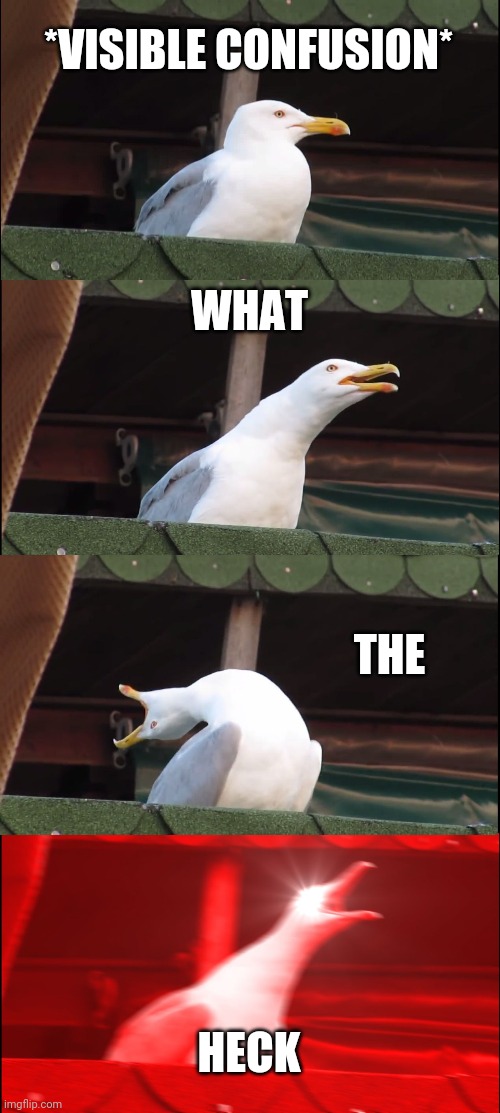 Inhaling Seagull Meme | *VISIBLE CONFUSION* WHAT THE HECK | image tagged in memes,inhaling seagull | made w/ Imgflip meme maker