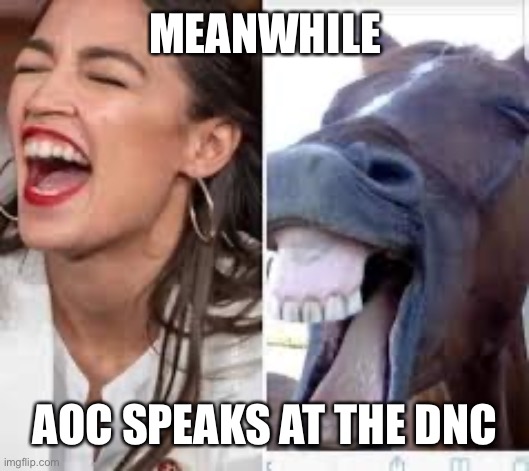 She does a very good Seabiscuit impression | MEANWHILE; AOC SPEAKS AT THE DNC | image tagged in aoc,horse,her daddy was trigger | made w/ Imgflip meme maker