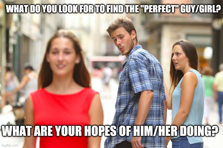 Distracted Boyfriend | WHAT DO YOU LOOK FOR TO FIND THE "PERFECT" GUY/GIRL? WHAT ARE YOUR HOPES OF HIM/HER DOING? | image tagged in memes,distracted boyfriend | made w/ Imgflip meme maker