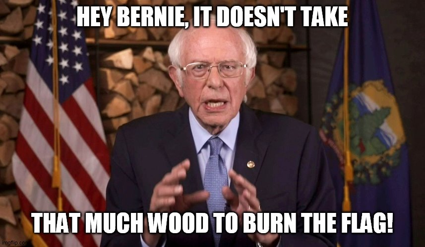 Bernie at the Convention | HEY BERNIE, IT DOESN'T TAKE; THAT MUCH WOOD TO BURN THE FLAG! | image tagged in bernie sanders | made w/ Imgflip meme maker