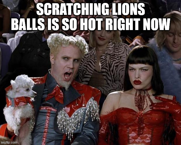 Mugatu So Hot Right Now Meme | SCRATCHING LIONS BALLS IS SO HOT RIGHT NOW | image tagged in memes,mugatu so hot right now | made w/ Imgflip meme maker